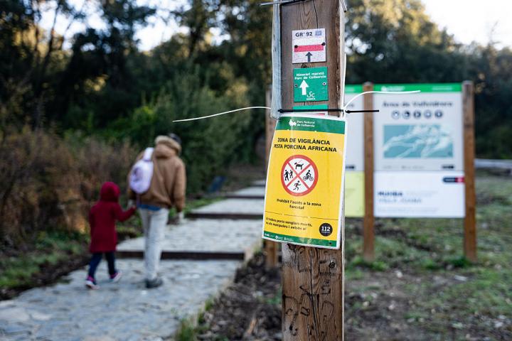 Cartel de alerta por peste porcina africana en un sendero de Collserola, con dos personas caminando al fondo.
