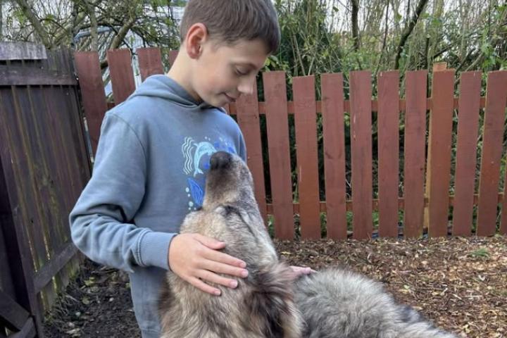 nino-solidario-refugio-animales