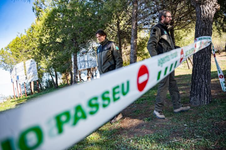 Agentes forestales cierran el paso en una zona de Cataluña con jabalíes