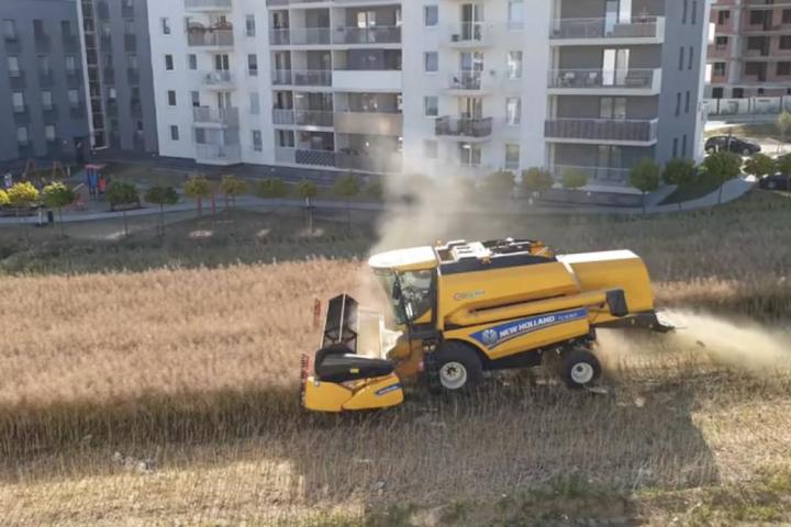 Agricultor cosechando un campo de cereal rodeado de edificios y calles asfaltadas en un entorno urbano.
