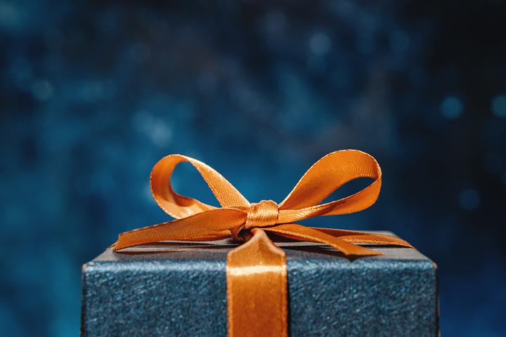 Un bonito regalo de Navidad.