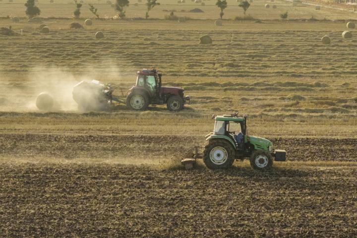 Tractores trabajando el cultivo