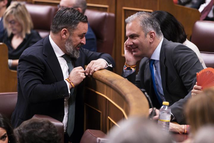 Santiago Abascal y Ortega Smith.