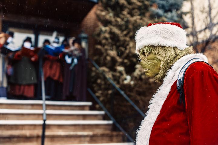 sindrome-grich-navidad