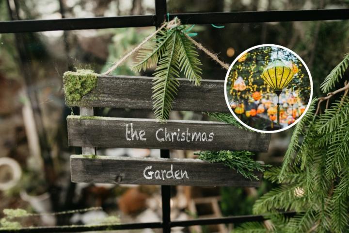 luces-navideñas-jardin-tribunales