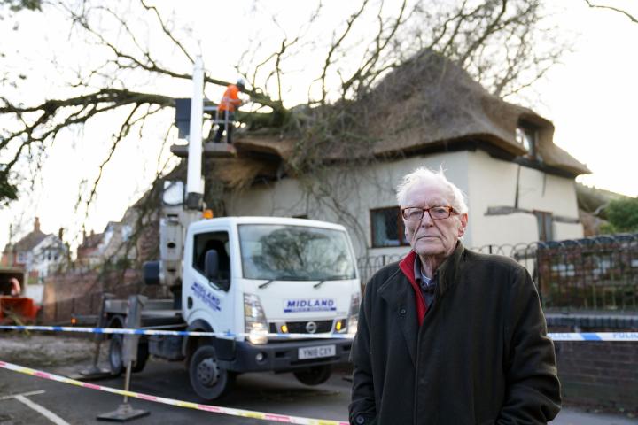 arbol-sobre-tejado-seguro