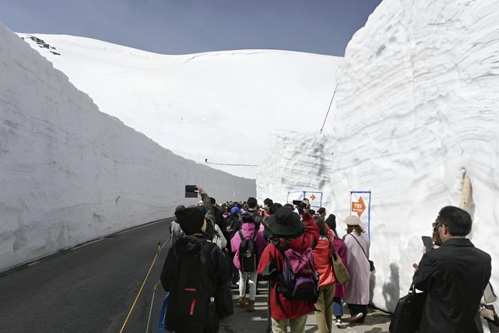 Un grupo de turistas caminando por el Corredor de Nieve de Tateyama, cuando la carretera de montaña cubierta de nieve vuelve a abrirse por completo al público después de su cierre invernal.