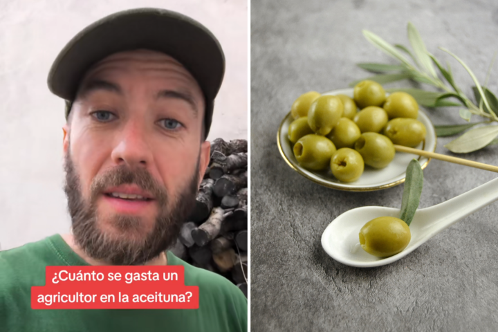 Agricultor español.