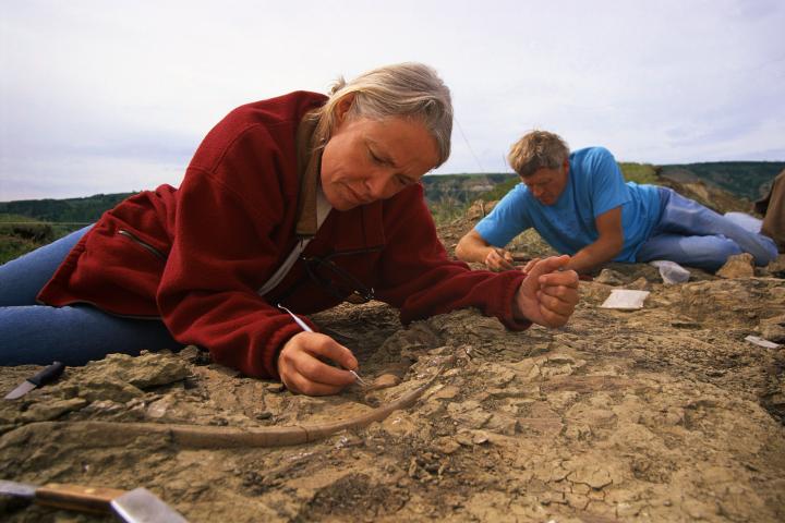 paleontologia-descubrimiento-dinosaurio-europeo