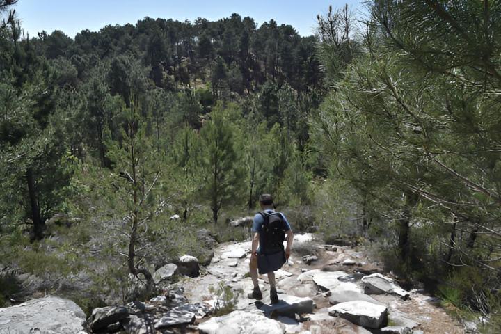 Un mochilero en su travesía caminando por el bosque Fontainebleau en Francia