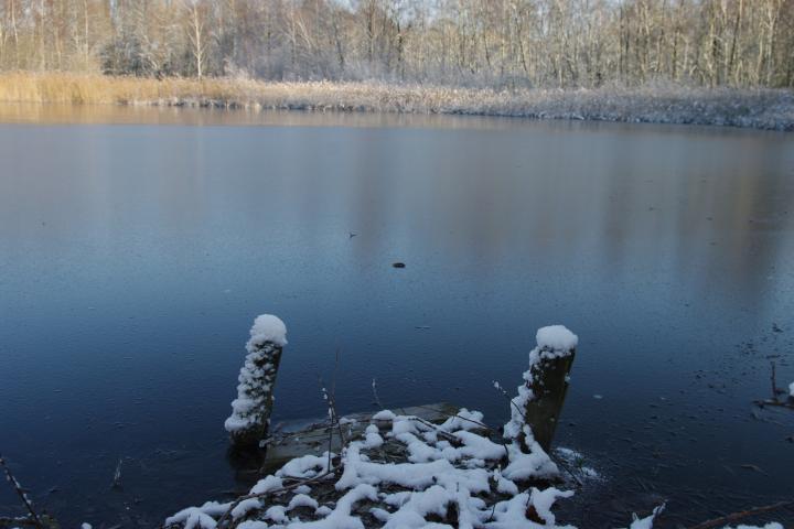 Lago en ambiente invernal