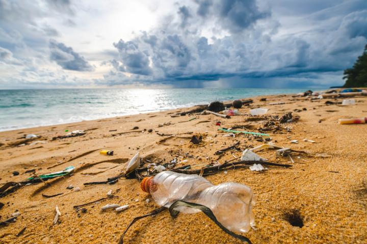 Una playa repleta de suciedad.