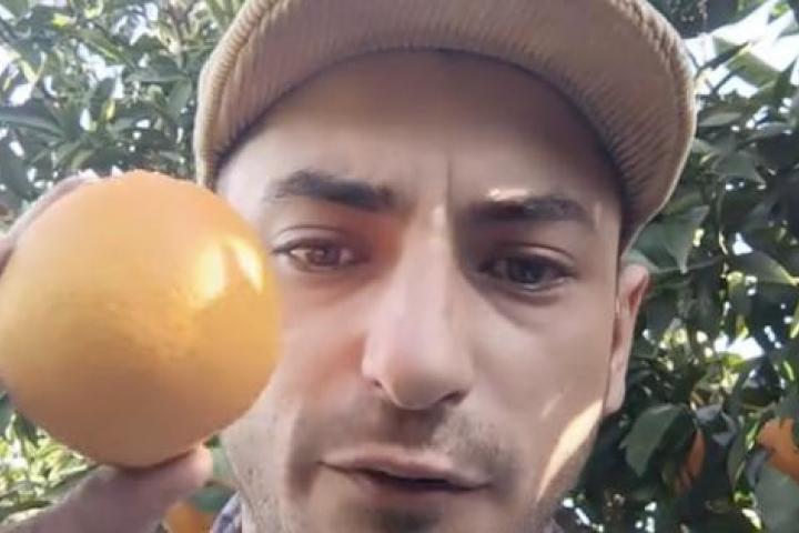 Paco, el agricultor que le planta cara a los intermediarios para que le paguen lo que merece por sus mandarinas.
