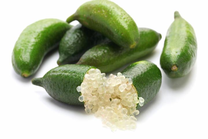 micro citrus on white background