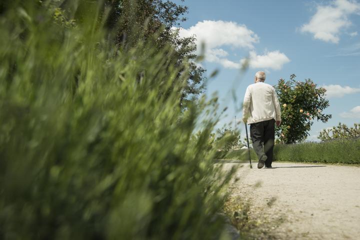Una persona mayor, caminando, en una imagen de archivo.