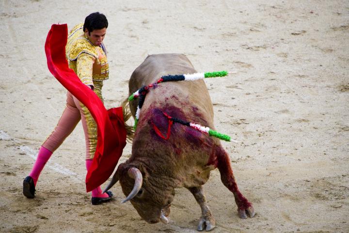 Tauromaquia