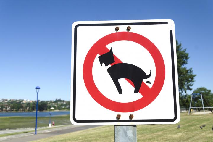 Señal que prohíbe no recoger los excrementos de perro en un espacio público.