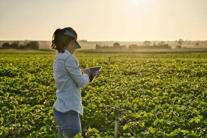 Una mujer agricultora trabajando