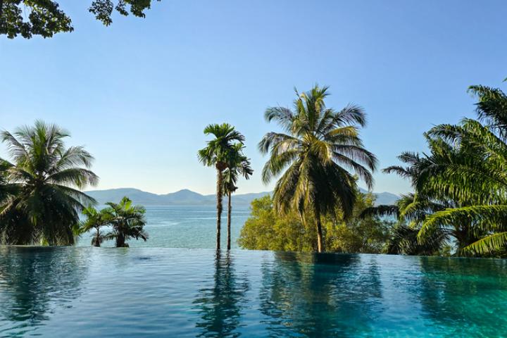 Vista panorámica desde una piscina infiinity, tapada por árboles.