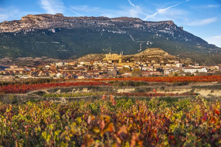 alt="alt="Labastida. Landscapes and vineyards in Rioja alavesa. Alava. Pais Vasco. Basque Country. Euskadi.  SPAIN""