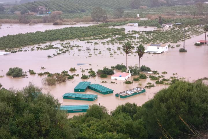 Imagen de cultivos completamente inundados por las fuertes lluvias (Cádiz)