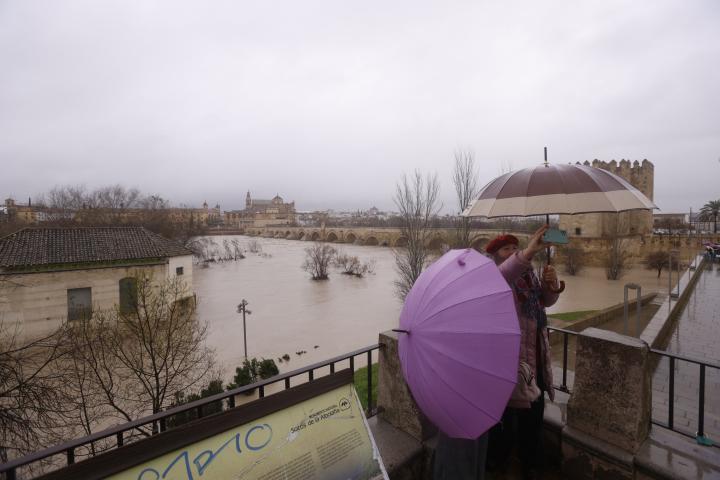 alt="alt="Varias personas observan este sábado la crecida del río Guadalquivir""