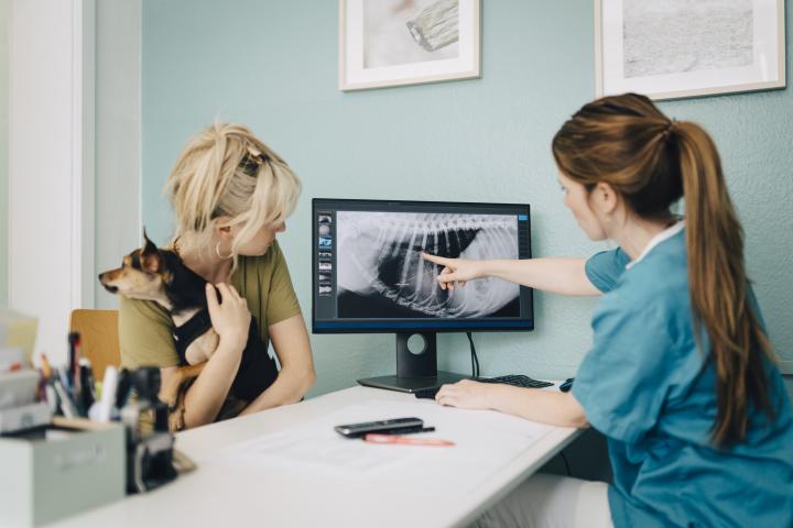 Una mujer y su perro, en el veterinario