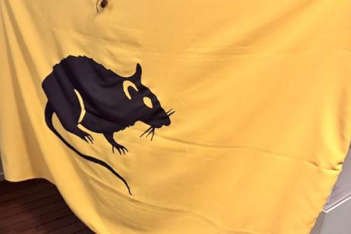 Una bandera amarilla con el símbolo de una rata negra.