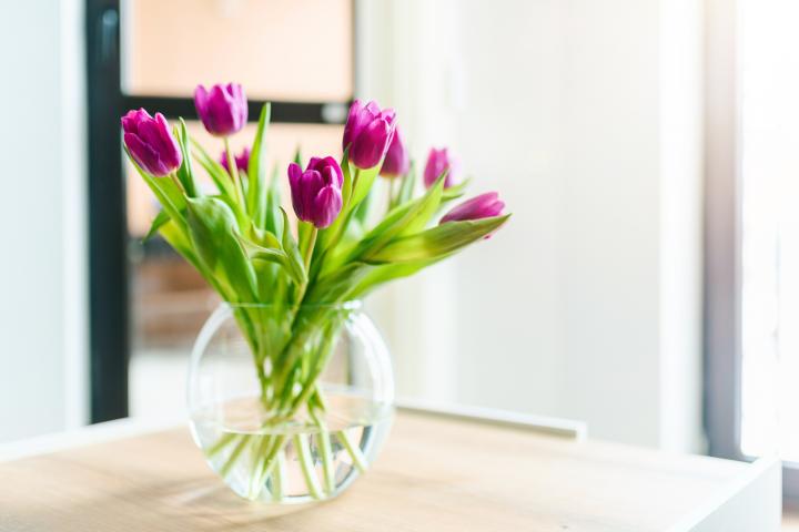 Imagen de archivo de un ramo de tulipanes.