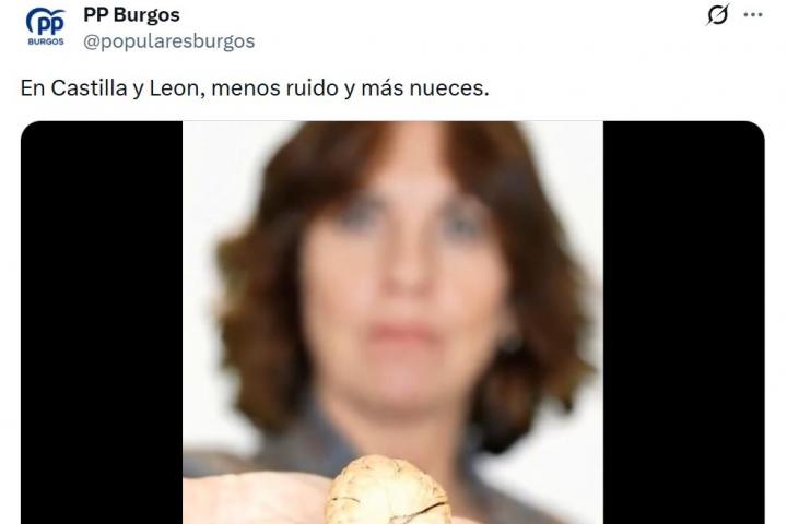 Captura de la publicación del Partido Popular de Burgos con su vídeo para la campaña electoral de las elecciones a la Junta de Castilla y León.