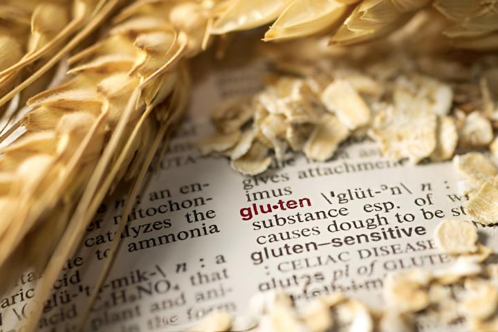 La definición de gluten tal como aparece en un diccionario médico rodeada de trigo y avena