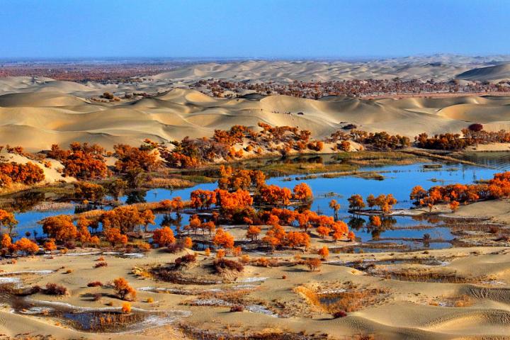 Vista del desierto de Taklamakán, con los árboles plantados en el entorno