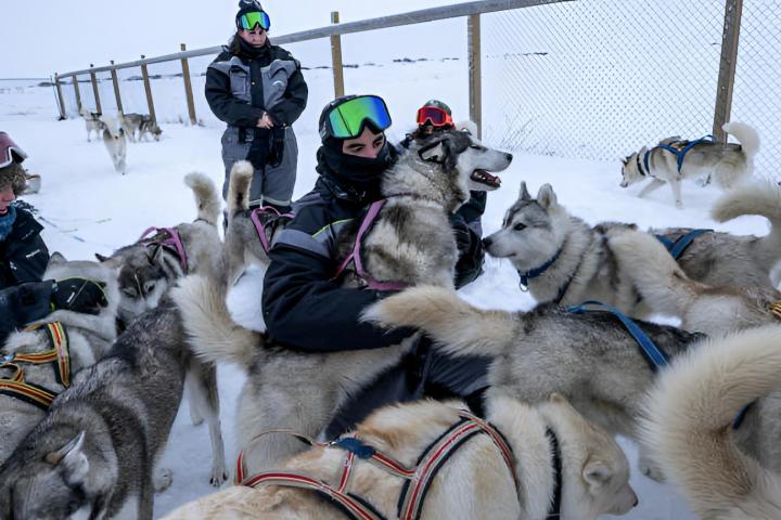 Un grupo de personas y varios huskies, donde un hombre está abrazando a uno de los perros