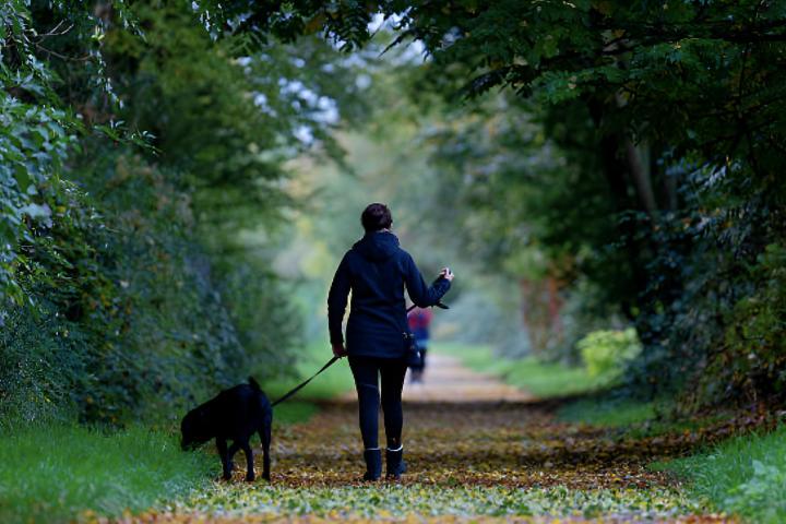 Una mujer caminando con un perro por un sendero cubierto de hojas de otoño