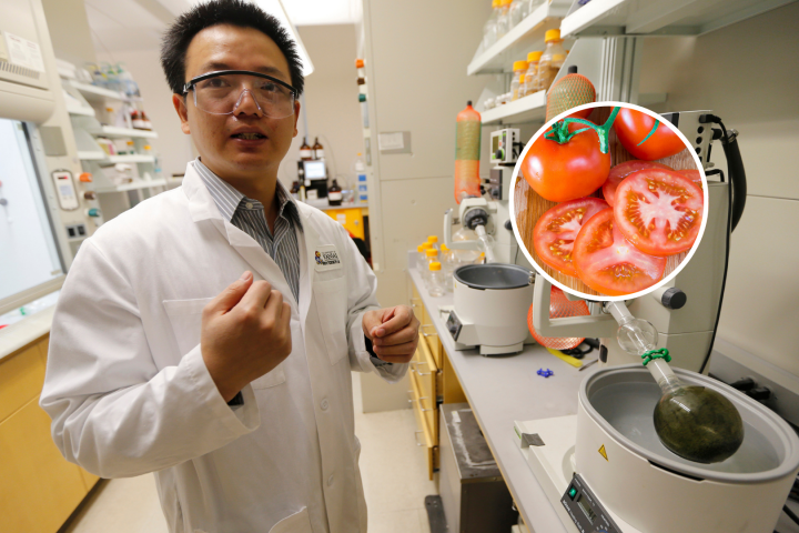 tomate-sabor-palomitas-china