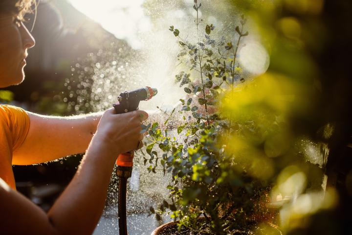 Un niño riega el jardin