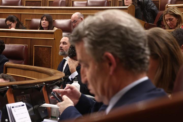 Feijóo y Abascal, en el Congreso