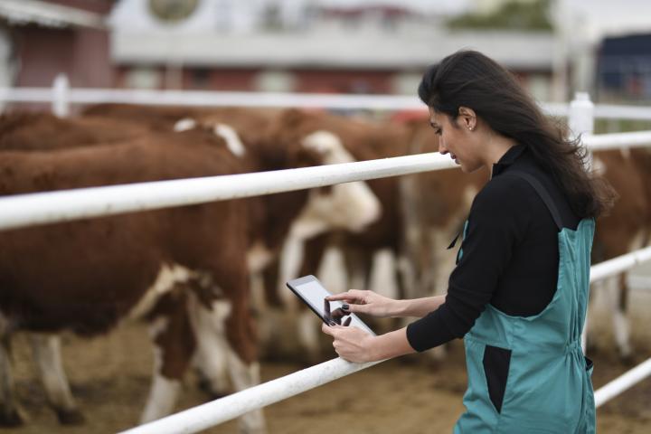 Una joven mujer trabaja en el campo con su tablet