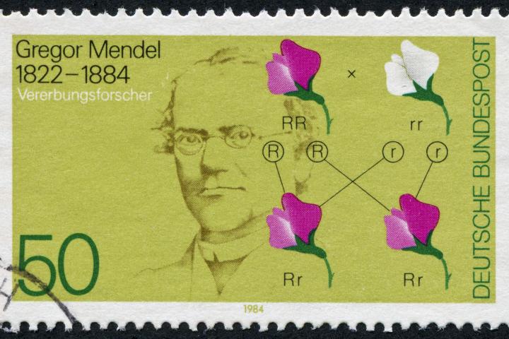 Gregor Mendel en un sello alemán