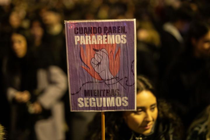 Una mujer sostiene una pancarta en la que se lee: "Cuando paren, pararemos. Mientras, seguimos", en la manifestación del 8-M de 2024, en Madrid.