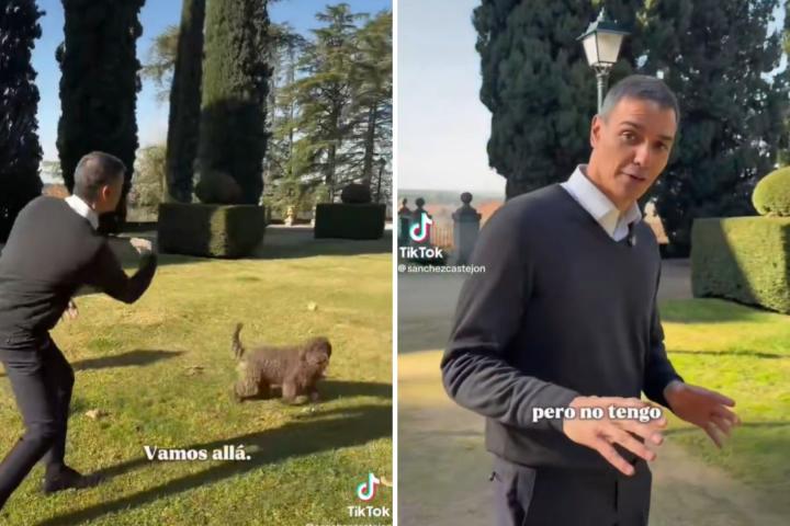 Pedro Sánchez juega con sus perros