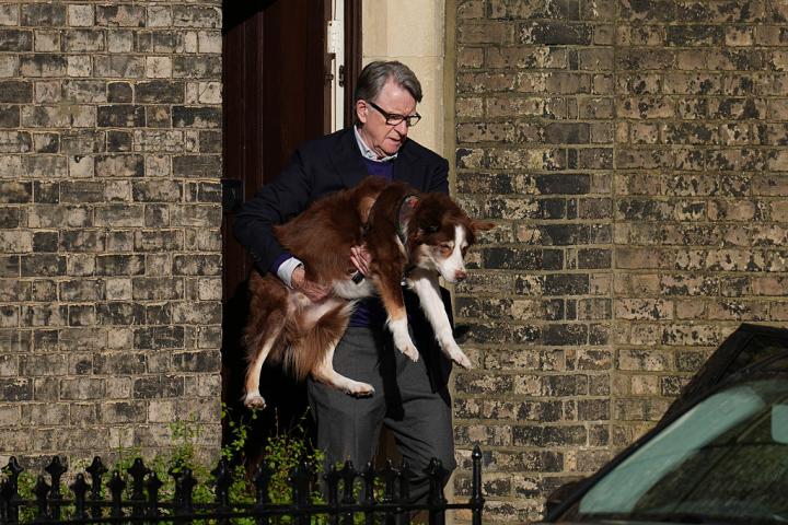 Lord Peter Mandelson sale de su casa en el noroeste de Londres, con su perro en brazos, el 14 de febrero de 2026.