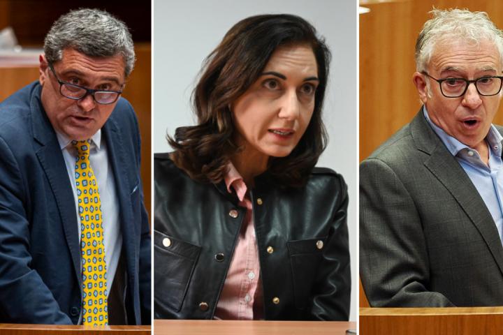 Los candidatos de Por Ávila (Pedro Pascual), UPL (Alicia Gallego) y Soria ¡Ya! (Ángel Ceña)