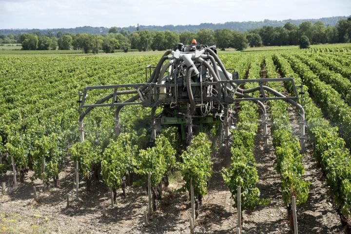 Tractor en viñedo francés.