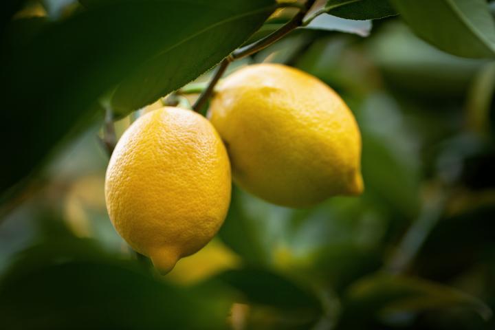 Limones.