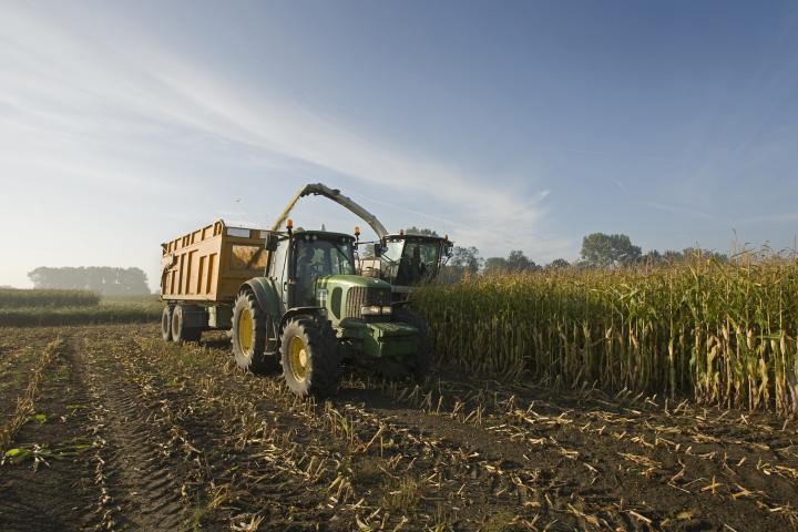 Trabajo en el campo.