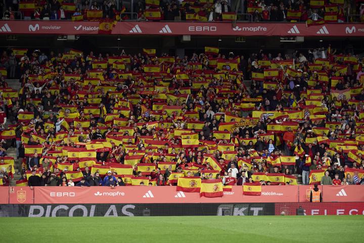 La afición española, en el RCDE Stadium, durante el España - Egipto
