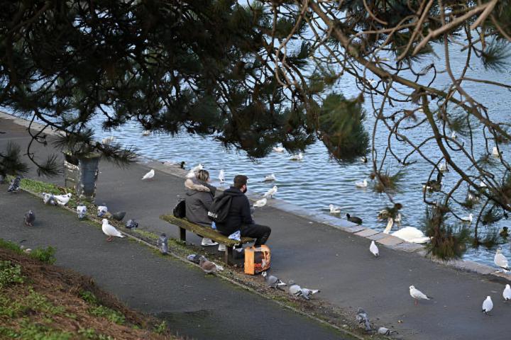 Dos personas sentadas en un banco y dando de comer a los cisnes, patos y gaviotas en el lago Ryde Canoe