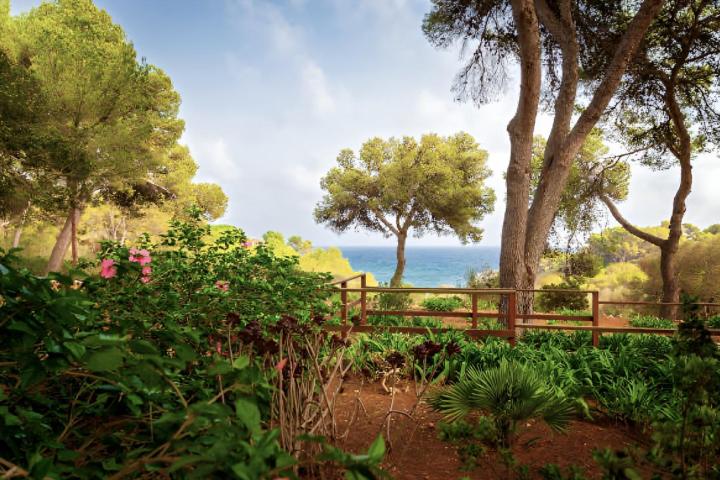 Un jardín de las cuevas de Drach, en la isla de Mallorca
