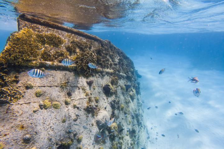 Foto de archivo de un barco hundido en Cancún.